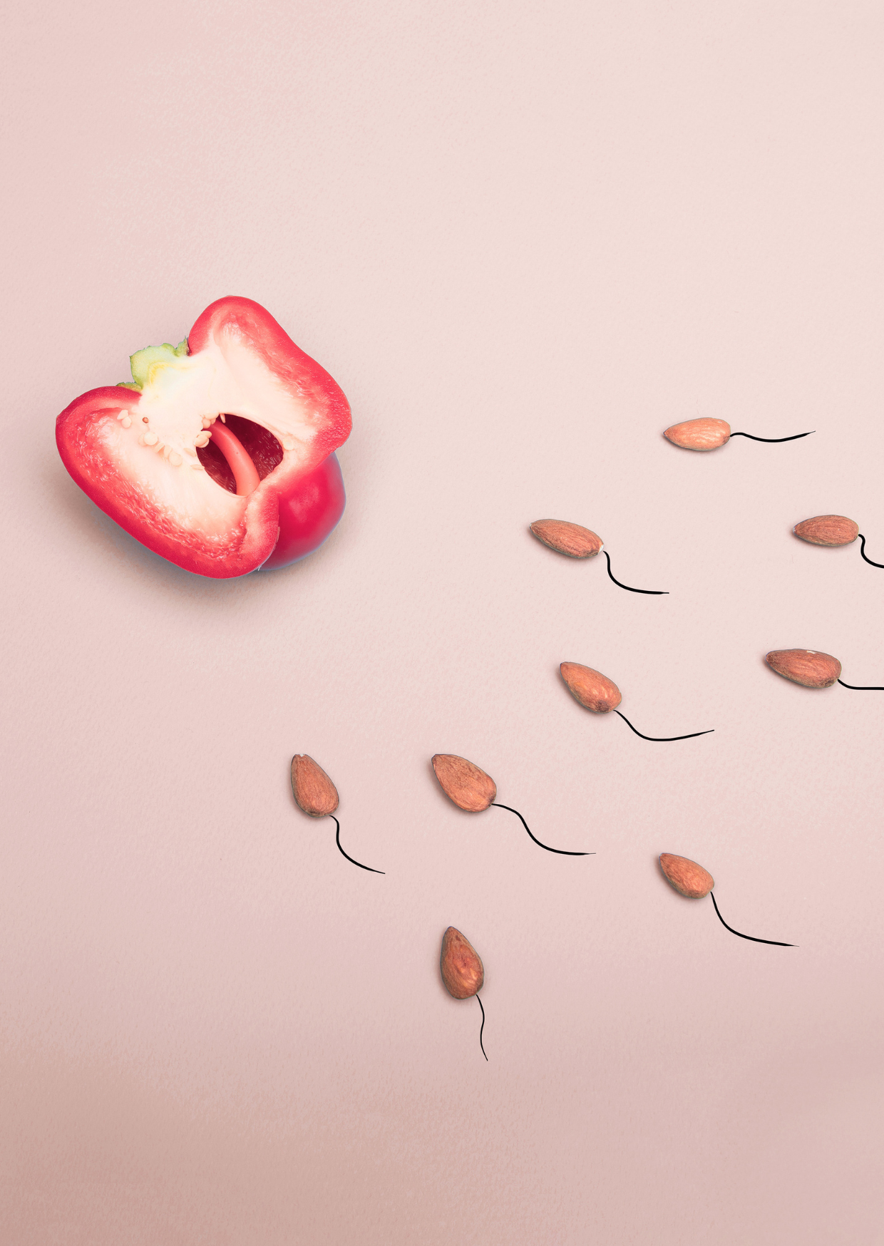 Fertilité
